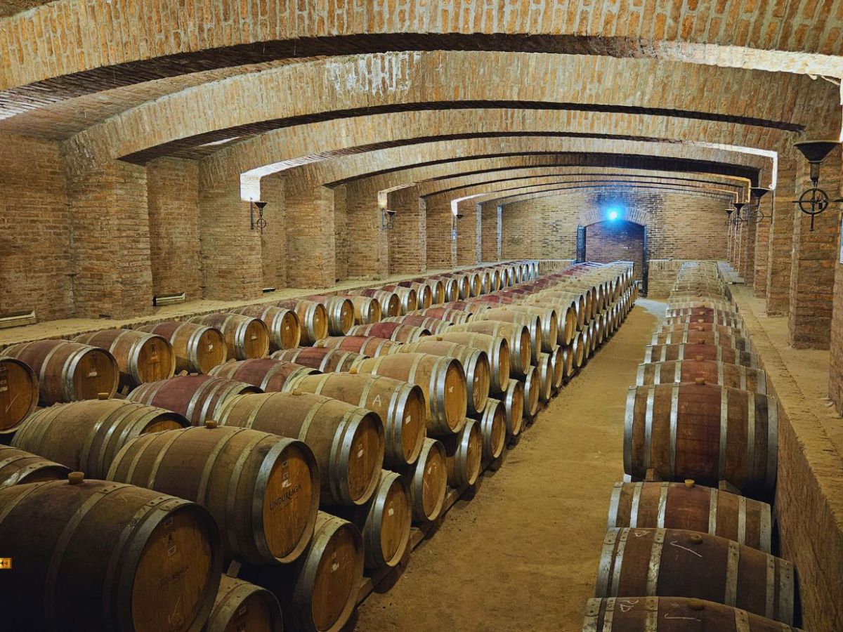 Santiago do Chile no Fim de Ano: Vinhos, Andes e Experiências&nbsp;Únicas