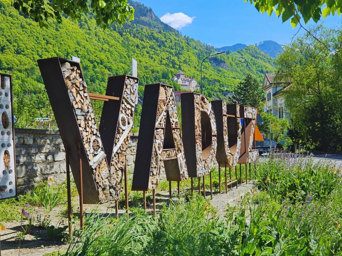 Vaduz e a Hofkellerei des Fürsten von Liechtenstein: uma viagem pelos vinhos do&nbsp;principado